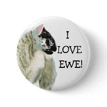 かわいい子ヒツジは雌ヒツジを愛します