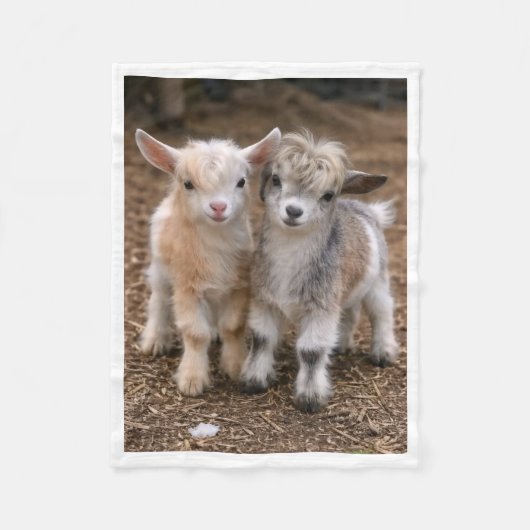 かわいい子ヤギ 農場の動物 フリースブランケット (正面)