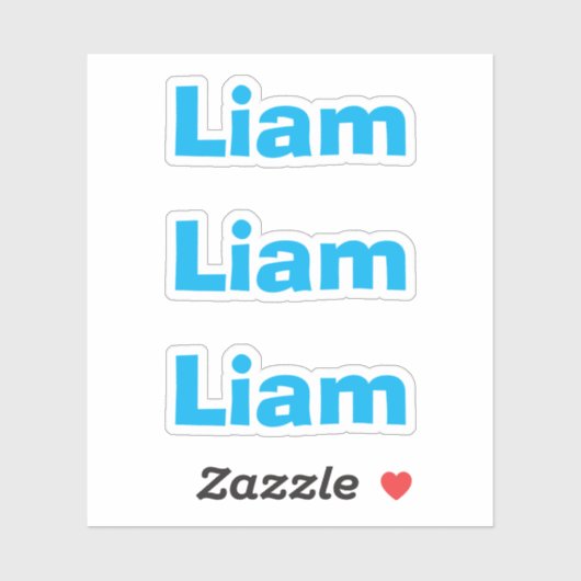 かわいい子供 青い楽しい名前ステッカー シール (シート)