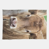 かわいい子牛 キッチンタオル (横)