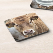 かわいい子牛 コースター (左側)
