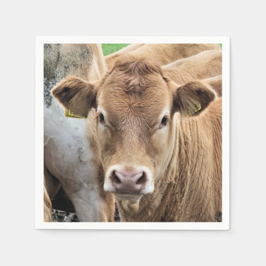 かわいい子牛 スタンダードカクテルナプキン (正面)