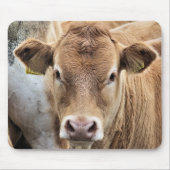 かわいい子牛 マウスパッド (正面)
