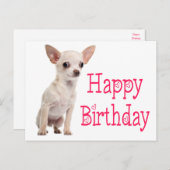 かわいい子犬おもしろいチワワの誕生日 ポストカード (正面/裏面)
