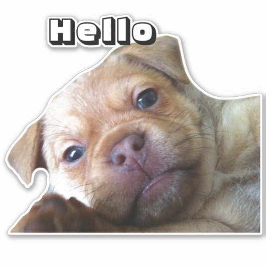かわいい子犬がハローフォンの装飾を言う シール (正面)