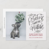 かわいい子犬がミスタントクリスマスを嗅ぐ シーズンカード (正面/裏面)