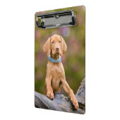 かわいい子犬が描くハンガリーのヴィッサ・ドッグ・パピーの写真// ミニクリップボード (アングル2)