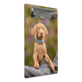 かわいい子犬が描くハンガリーのヴィッサ・ドッグ・パピーの写真// ミニクリップボード (アングル)