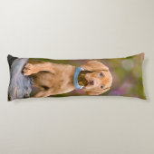 かわいい子犬が操るハンガリーのヴィッサ・ドッグ・パピーの写真_。 ボディピロー (裏面)