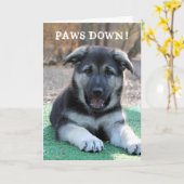 かわいい子犬が父の日のカードをお父さんに カード (黄色い花)