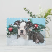 かわいい子犬が雪の中に寝そべっている (スタンド正面)