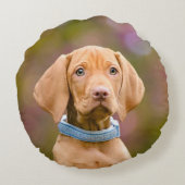 かわいい子犬が飼うハンガリーのビズラ·ドッグの子犬の写真-_ ラウンドクッション (裏面)