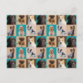 かわいい子犬たちの動物のコラージュ ポストカード (正面)