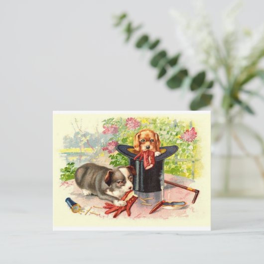 かわいい子犬たち2つのヴィンテージはがき ポストカード (スタンド正面)