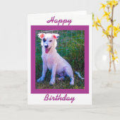 かわいい子犬とのハッピーバースデー カード (黄色い花)