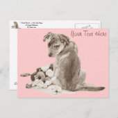 かわいい子犬とテディドッグの雑種 ポストカード (正面/裏面)