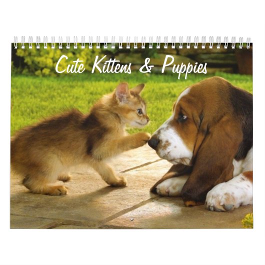 かわいい子犬と子猫のカレンダー カレンダー (カバー)