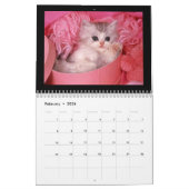 かわいい子犬と子猫2018カレンダー カレンダー (2月 2026)