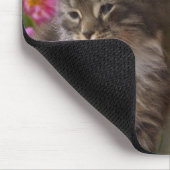 かわいい子犬と子猫 マウスパッド (コーナー)