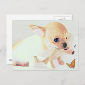 かわいい子犬のはがき ポストカード (正面/裏面)