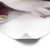 かわいい子犬のイングリッシュブルドッグ |クリスマスおもしろい。 フォトプリント            (角)