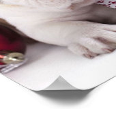 かわいい子犬のイングリッシュブルドッグ |クリスマスおもしろい。 ポスター (角)