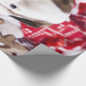 かわいい子犬のイングリッシュブルドッグ |クリスマスおもしろい。 ラッピングペーパー (角)