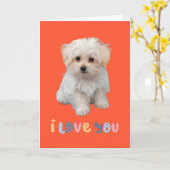 かわいい子犬のカード、愛してるよ、かわいい子犬のカード カード (黄色い花)