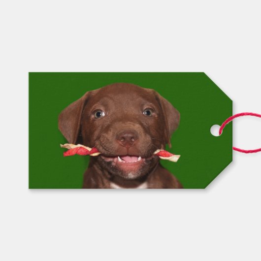 かわいい子犬のクリスマス ギフトタグ (正面(横))