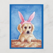 かわいい子犬のゴールデンレトリバーのバニー耳 ポストカード (正面)