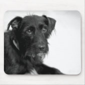 かわいい子犬のシュナウツァーテリアの白黒のマウスパッド マウスパッド (正面)