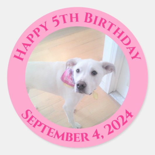 かわいい子犬のスカーフ着用の写真誕生日 ラウンドシール (正面)