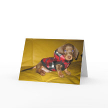 かわいい子犬のダックシュント空白のルグリーティングカード