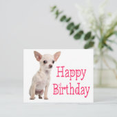 かわいい子犬のチワワの面白い誕生日 ポストカード (スタンド正面)