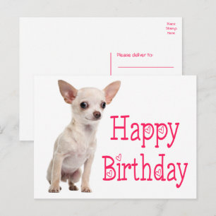かわいい子犬のチワワ 誕生日おめでとう ポストカード