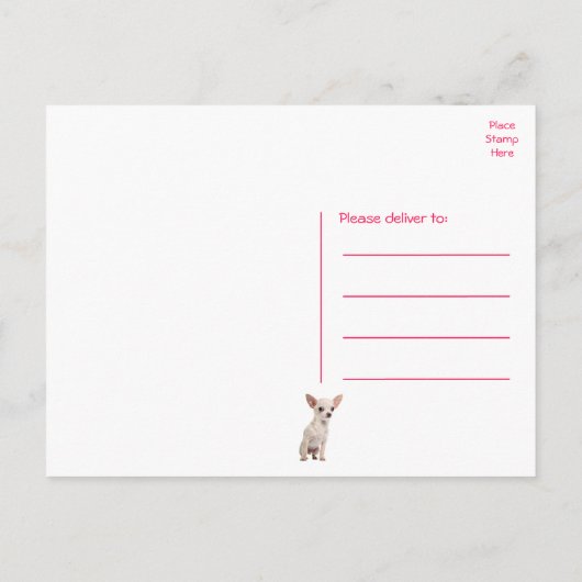 かわいい子犬のチワワ 誕生日おめでとう ポストカード (裏面)