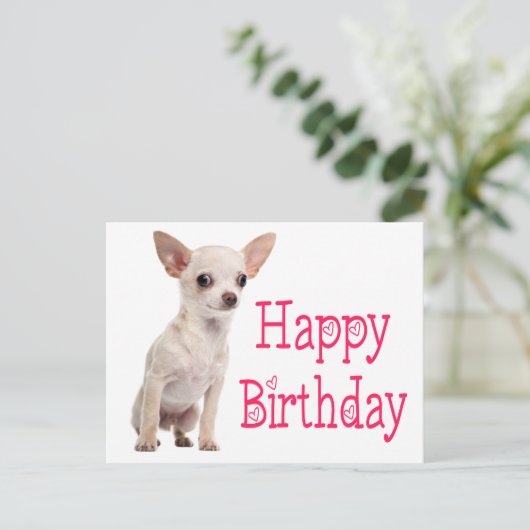 かわいい子犬のチワワ 誕生日おめでとう ポストカード (スタンド正面)