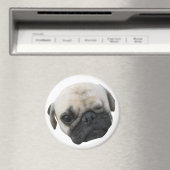 かわいい子犬のパグ犬の友人… かわいい 子犬 マグネット (インサイチュ (食洗機))