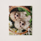 かわいい子犬のパズル ジグソーパズル (縦)