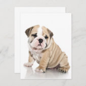 かわいい子犬のブルドッグが悲しい 招待状 (正面/裏面)