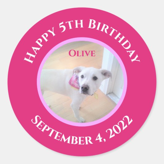 かわいい子犬のホットピンクのスカーフを巻いた写真 ラウンドシール (正面)