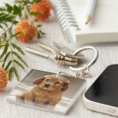 かわいい子犬のポートレート写真 キーホルダー (正面右)