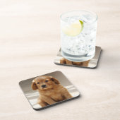 かわいい子犬のポートレート写真 コースター (右側)