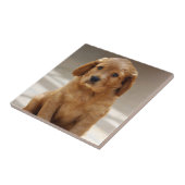 かわいい子犬のポートレート写真 タイル (側面)