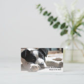 かわいい子犬の入れ替え写真&QRコード 名刺 (スタンド正面)