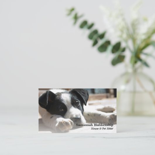 かわいい子犬の入れ替え写真&QRコード 名刺 (スタンド正面)