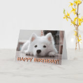 かわいい子犬の写真のバースデー・カード カード (黄色い花)