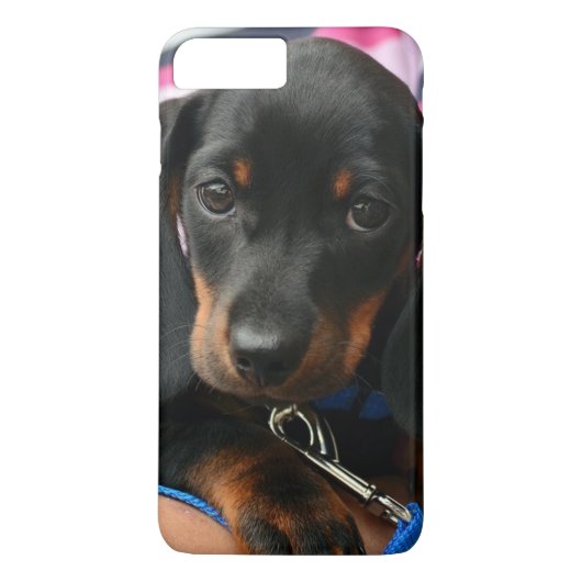 かわいい子犬の写真の携帯電話ケース Case-Mate iPhoneケース (裏面)
