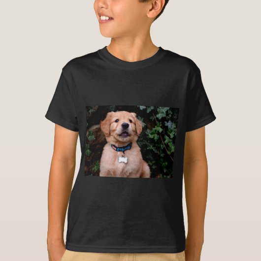 かわいい子犬の写真ゴールデンレトリバーパピー Tシャツ (正面)