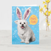 かわいい子犬の卵を着て – トラ特別なバニーの耳 カード (黄色い花)